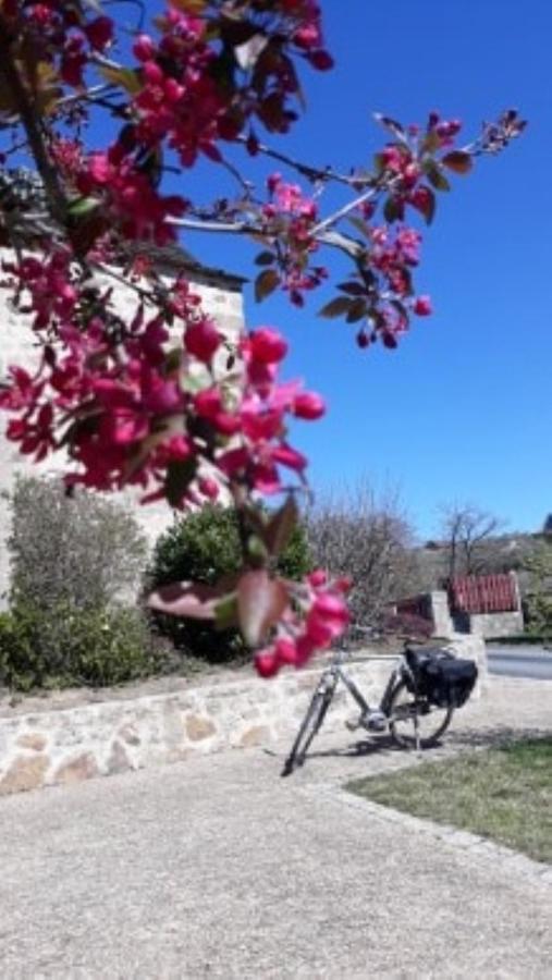 Le Parc Des 4 Saisons Bed and Breakfast Corrèze Εξωτερικό φωτογραφία