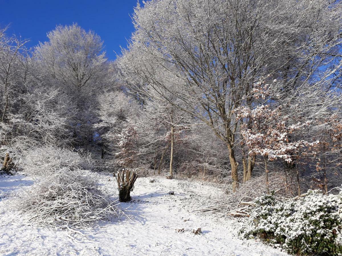 Le Parc Des 4 Saisons Bed and Breakfast Corrèze Εξωτερικό φωτογραφία